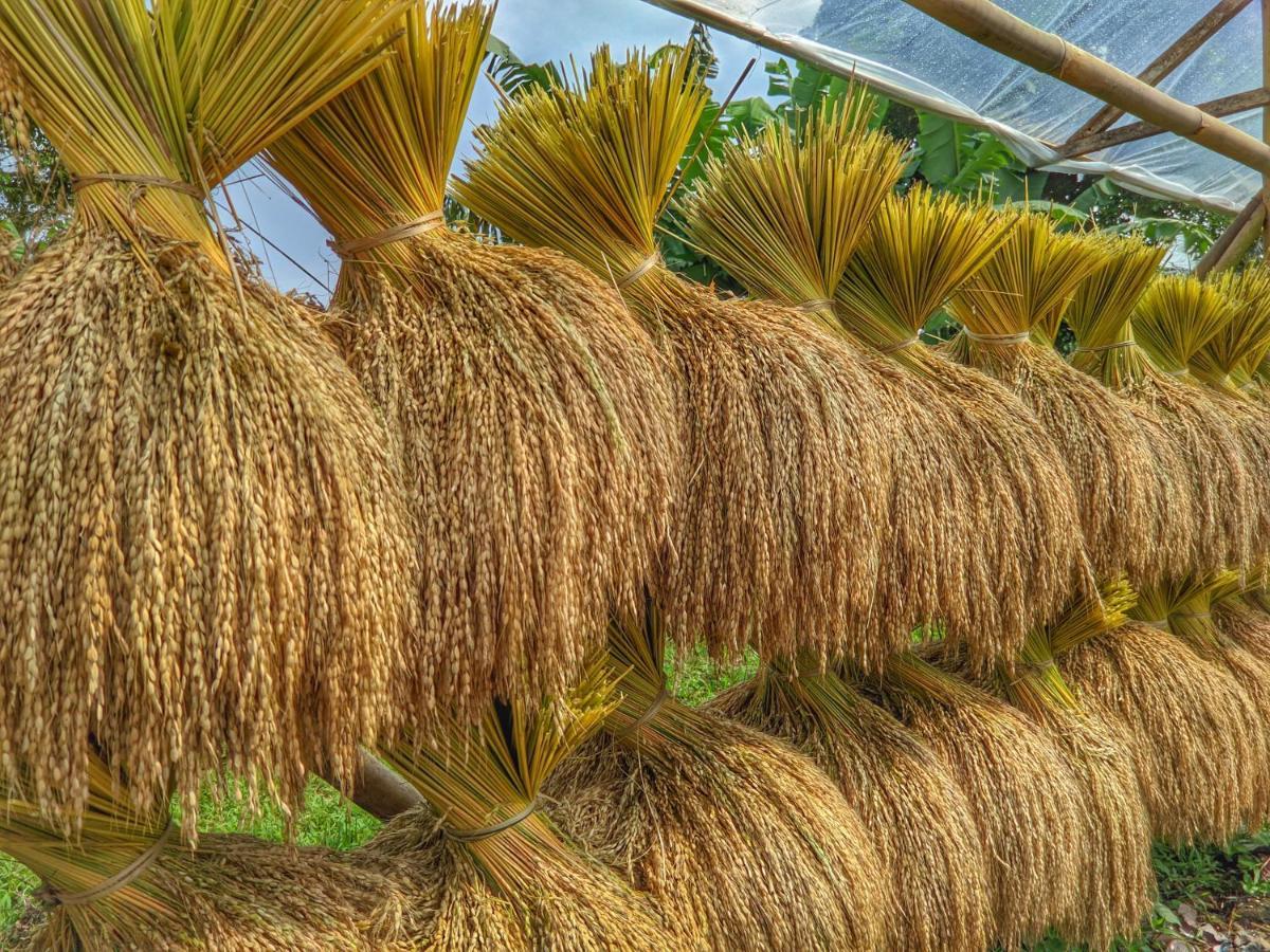 Farmstay Manangel Sindanglaka المظهر الخارجي الصورة