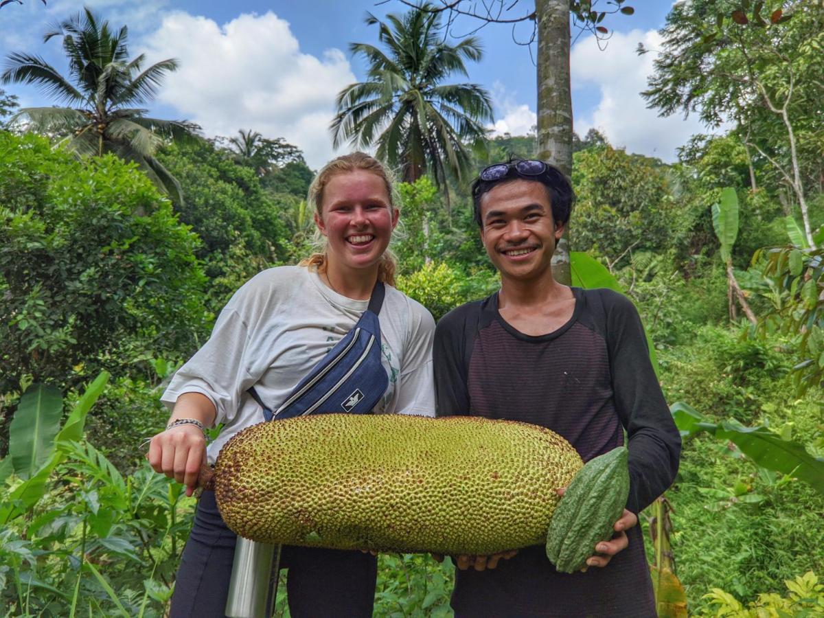 Farmstay Manangel Sindanglaka المظهر الخارجي الصورة