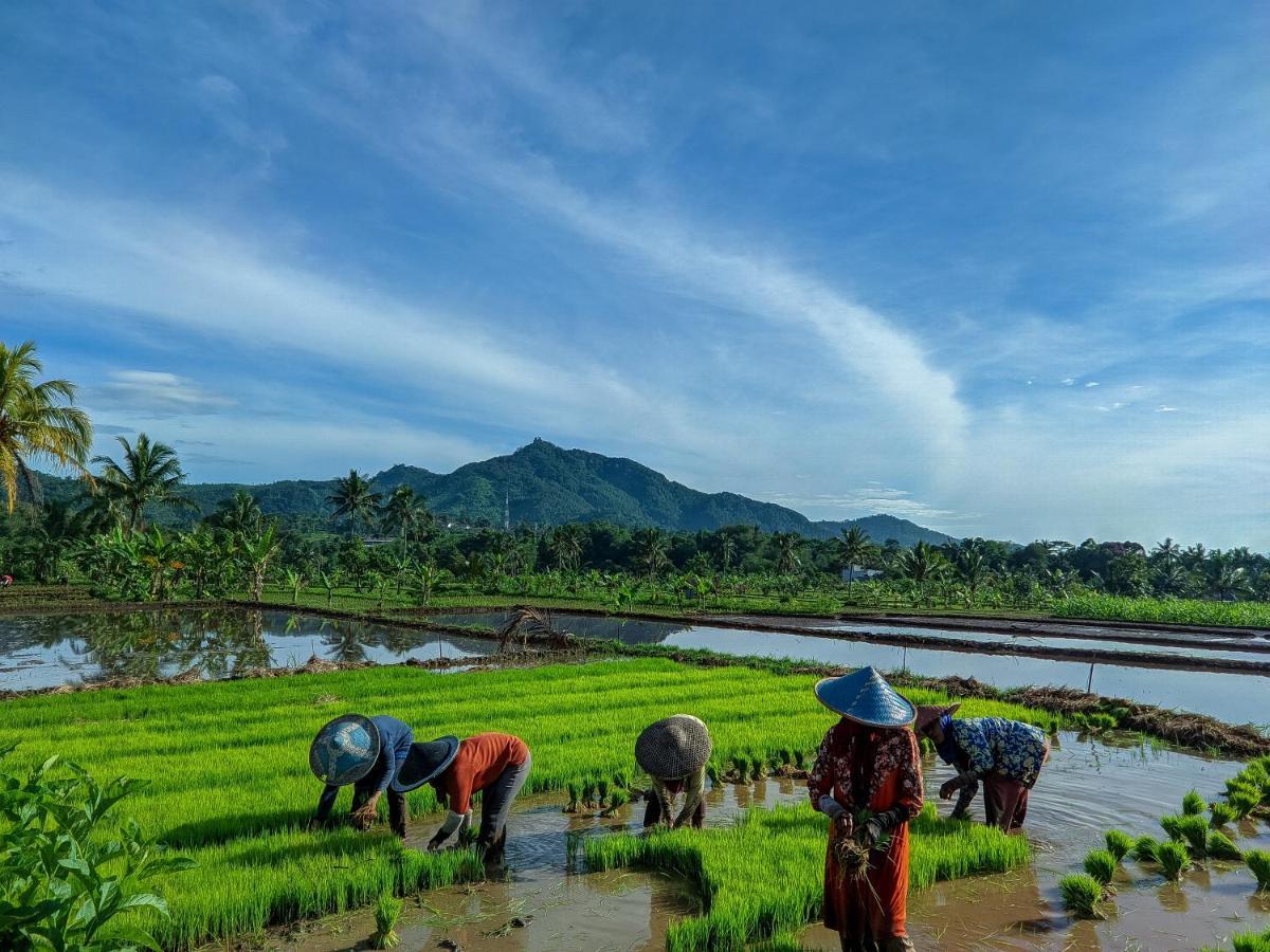 Farmstay Manangel Sindanglaka المظهر الخارجي الصورة